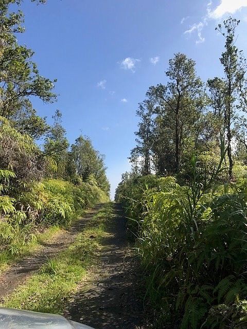 1st image of Maleikai Malieka Lot 23