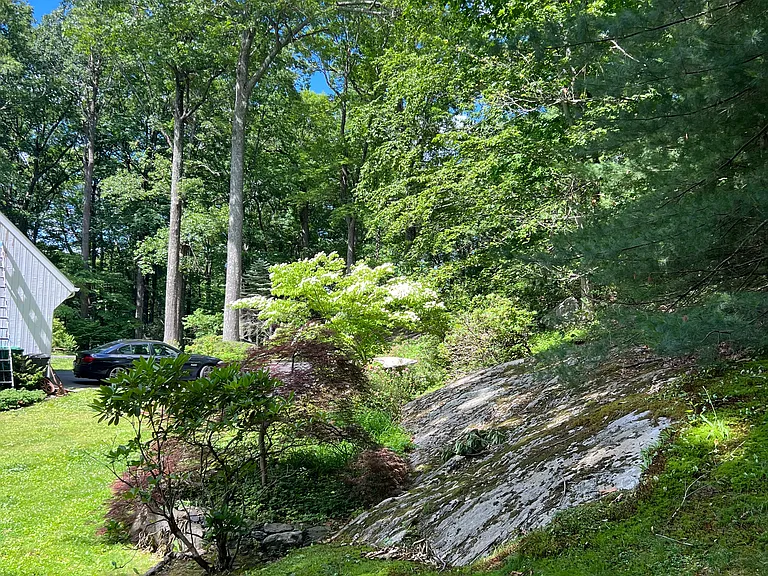 Lovely natural grounds with mature plantings.