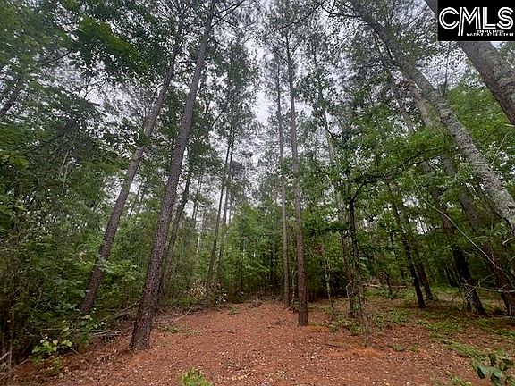 4th image of Fox Young Rd