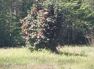 206 S Bluff St, Mount Olive, MS 39119