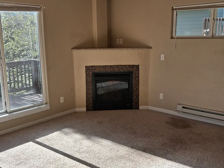 1099 Royal Coachman Blvd — Photo 2