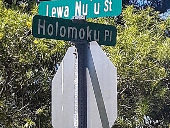 3rd image of Holomoku Pl Lot 568