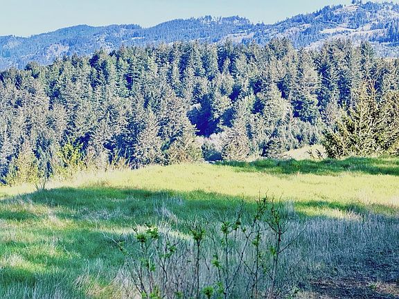 5th image of LOT 115 Elk Run Rd