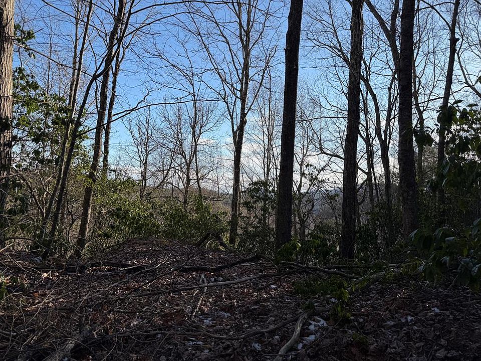 1st image of 43 Laurel Ln