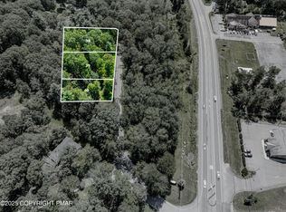 38 Spring Dr #38, Swiftwater, PA 18370