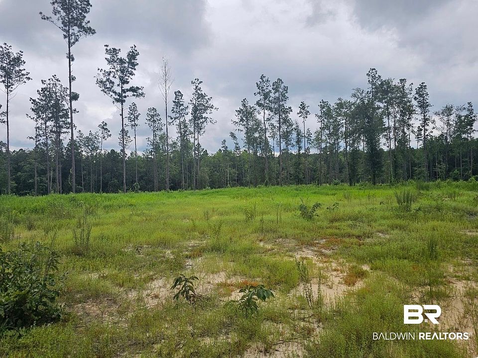 2nd image of 23799 Lonnie Hadley Rd #1