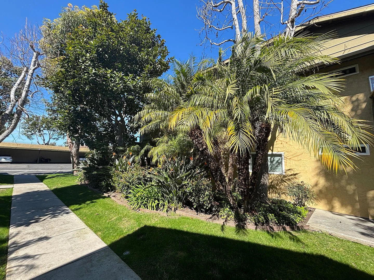 Adorable Condo Ready for Move In — Photo 2