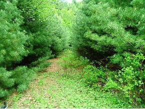 2nd image of 73 Covered Bridge Rd