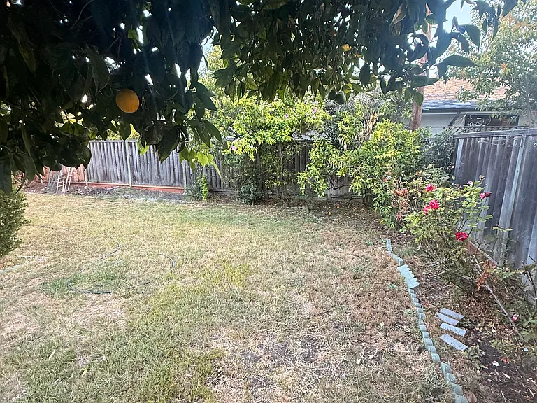 Fruit trees with shade cover to enjoy the California Sun Shine