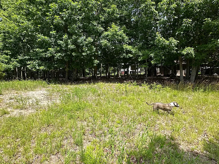 Leafwood Dr — Photo 2