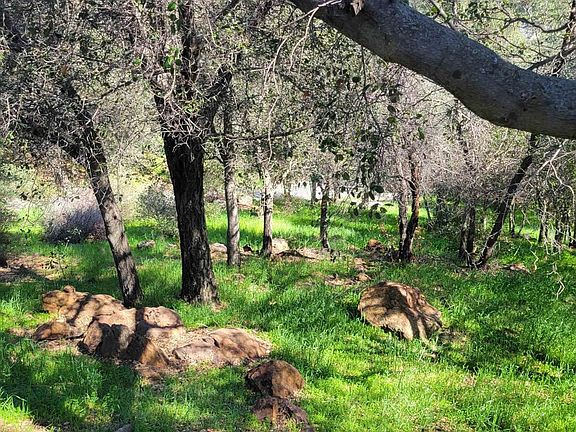 4th image of 9720 Garwood Rd