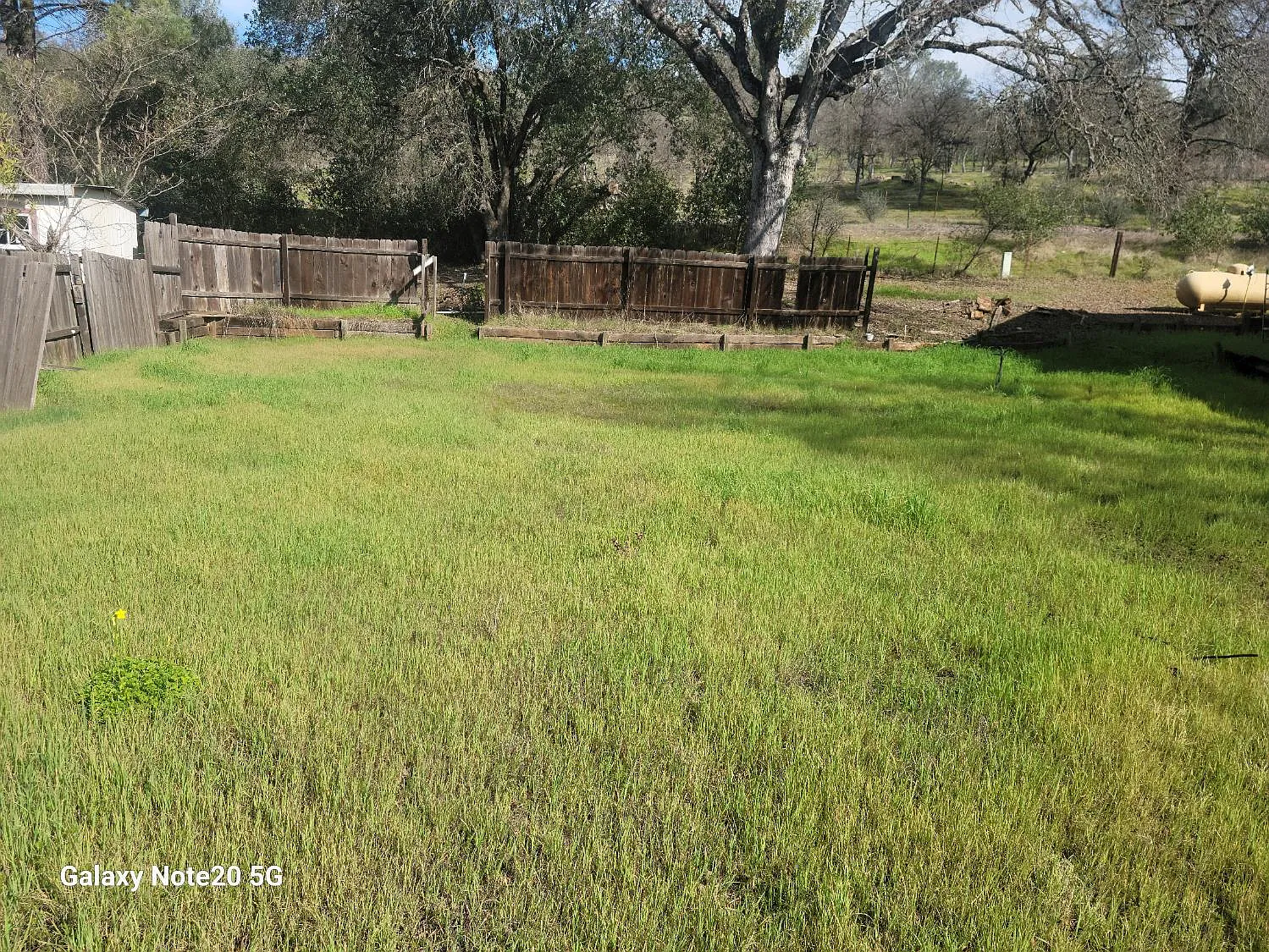 878 Sequoia Cir photo 1