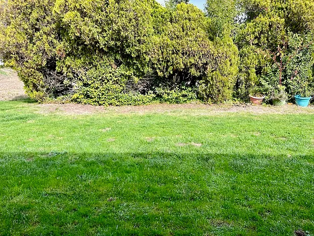 2 bed, $2,000 — Photo 2