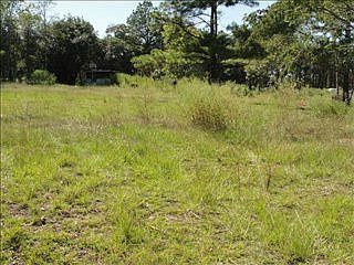 2nd image of 4223 Hattie Pl