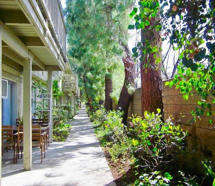 1st image of 5245 Chesebro Rd APT 207