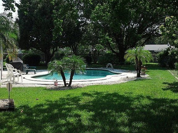 Looking East in back yard