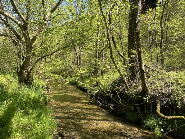 0 Thompson Hollow Rd, Taft, TN 38488