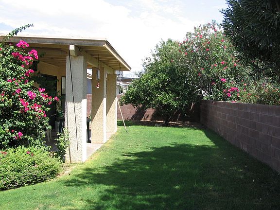 Back yard and porch