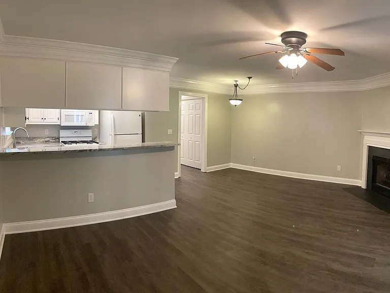 383 Springview Ln — Photo 6