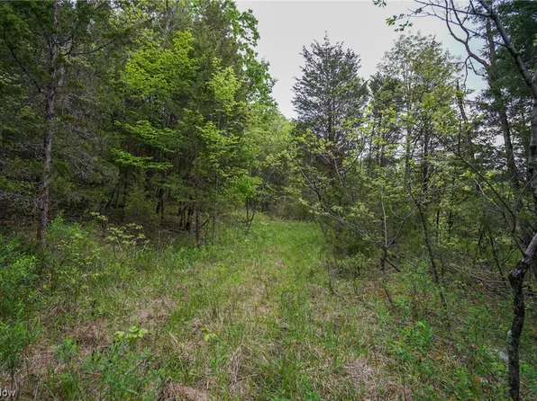 Bentonville Rd, West Union, OH 45693