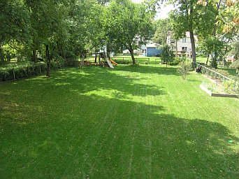 Rear Yard