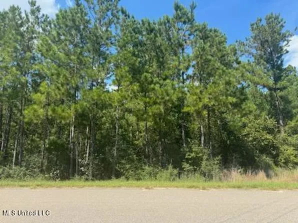 Clear Lake Rd Lot 6, Perkinston, MS 39573