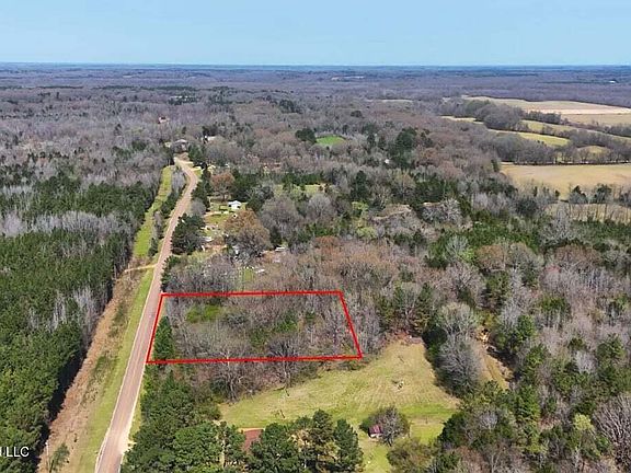 3rd image of 0 N Mullins Rd