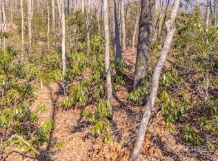 99999 Upper Peace Dr, Candler, NC 28715