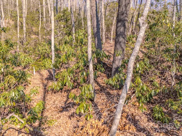 99999 Upper Peace Dr, Candler, NC 28715