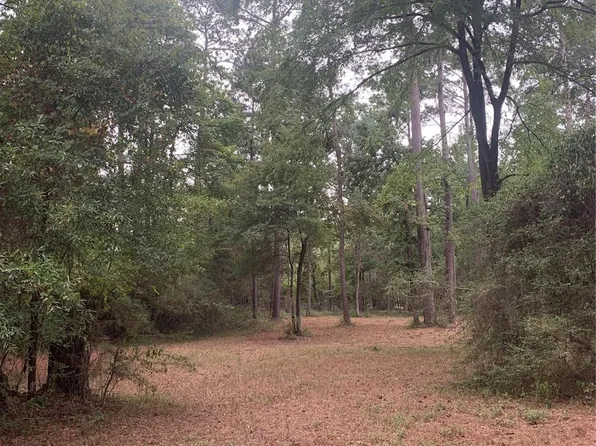 Oak Pine Dr, Livingston, TX 77351