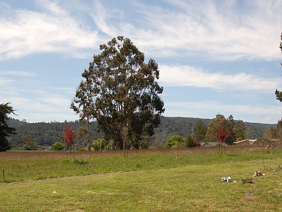 View from the house toward Inverness Ridge
