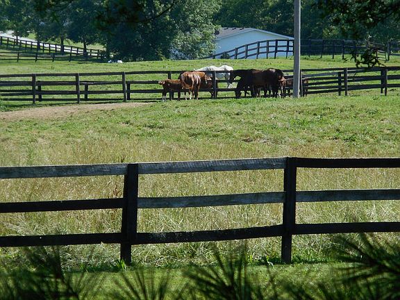view out front window
