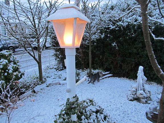 Snowy front yard at home