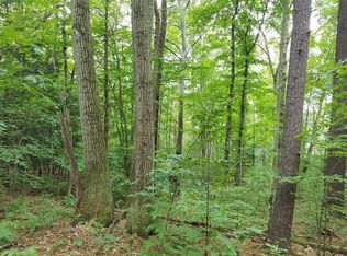 Stoney Ridge Rd, Campbell, NY 14821