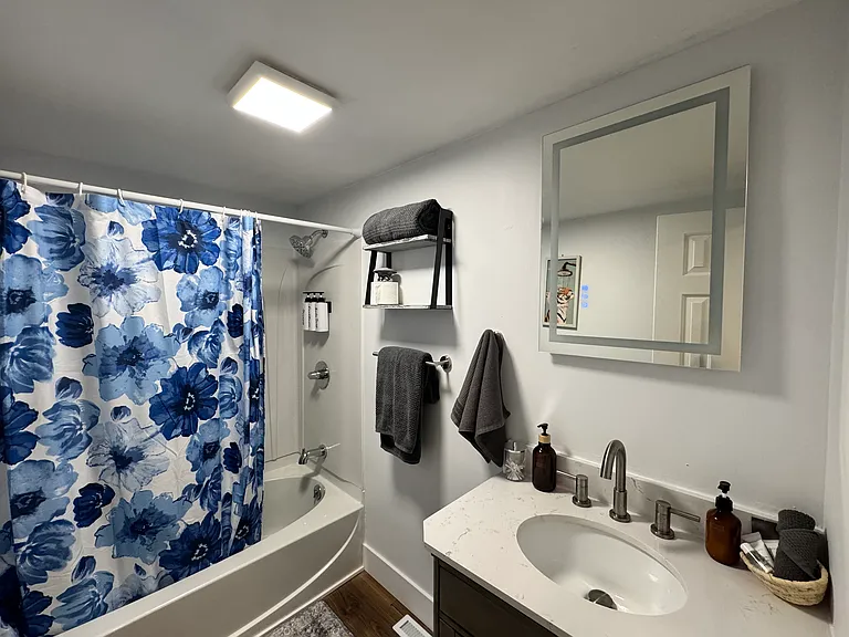209 Shiny Mountain Rd — Photo 20