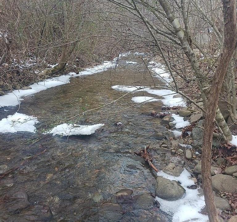 1st image of 804 Mill Creek Rd