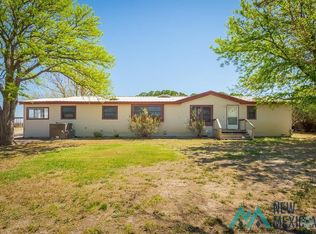 99 E Morgan Rd, Hagerman, NM 88232
