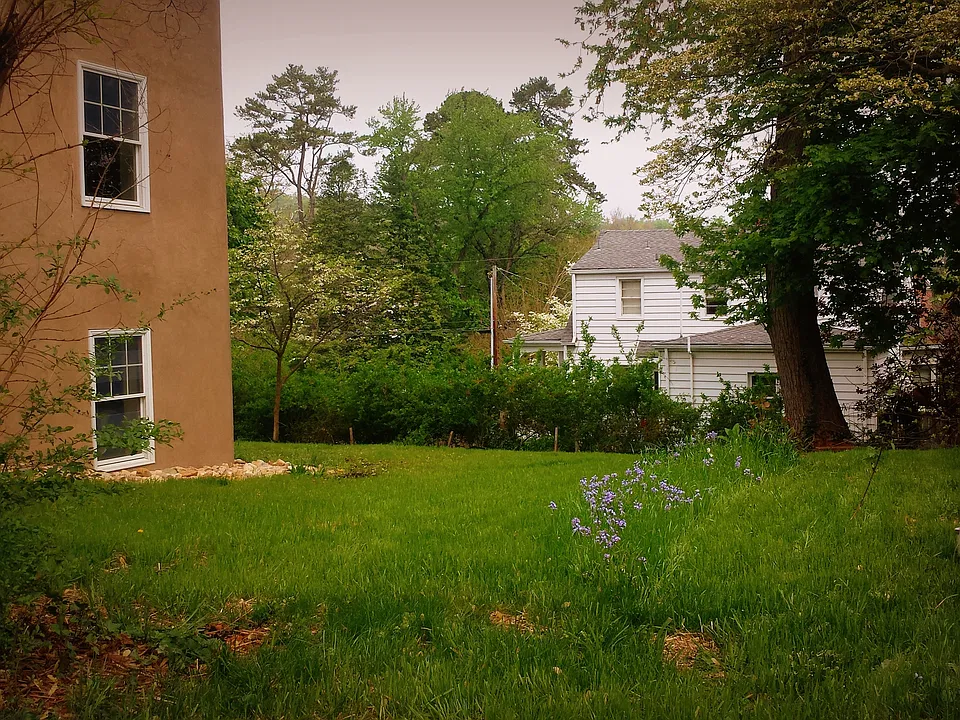 Side Yard