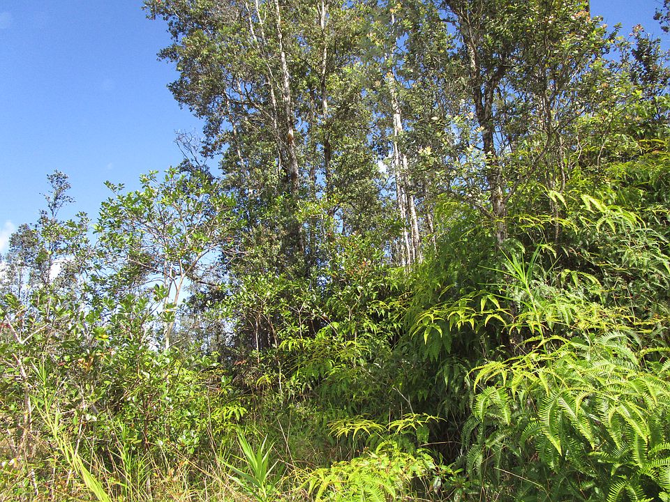 1st image of Road 9 Koloa Maoli Lot 5507
