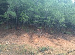 Lake Pointe Dr, Arley, AL 35541