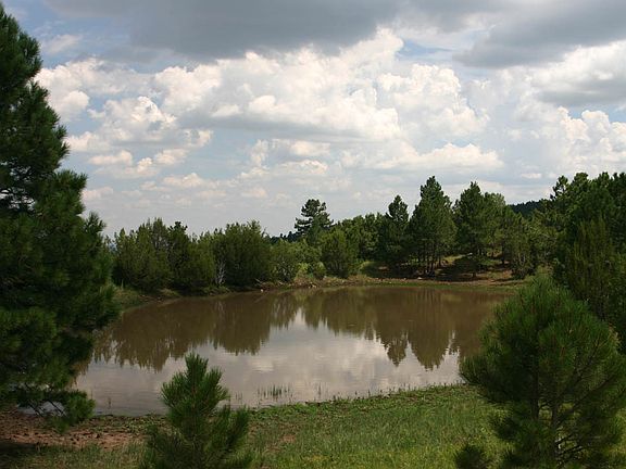 4th image of 40 Ac W 6 Ac Seasonal Pond