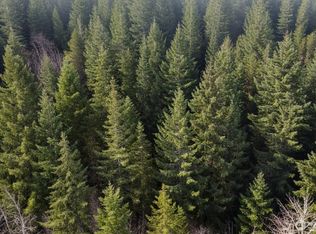 730 NE Black Bear Road, Belfair, WA 98528