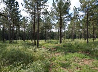 T 3 County Rd #374, Gladewater, TX 75647
