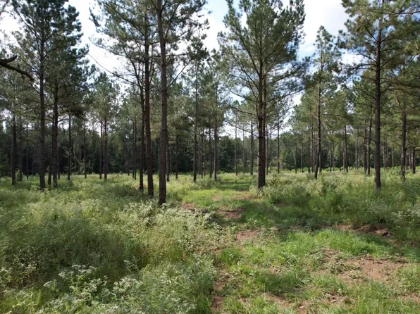 T 3 County Rd #374, Gladewater, TX 75647