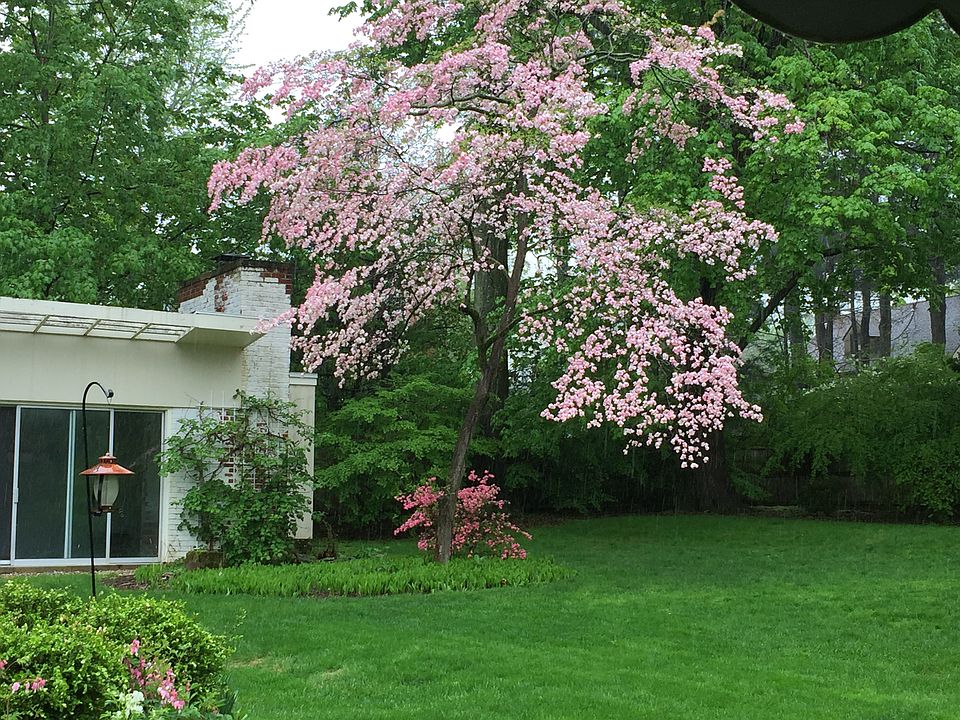 63 Foxcroft Rd, West Hartford, CT 06119 Zillow