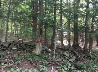 Roney Rd, Rensselaerville, NY 12147