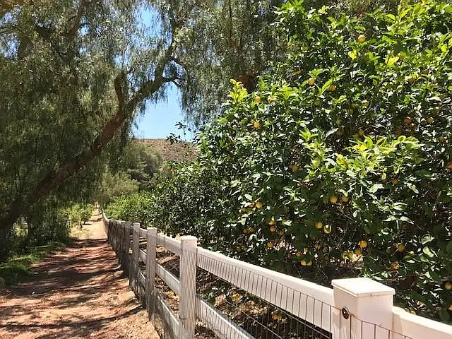 6933A Solano Verde Dr, Somis — Photo 4