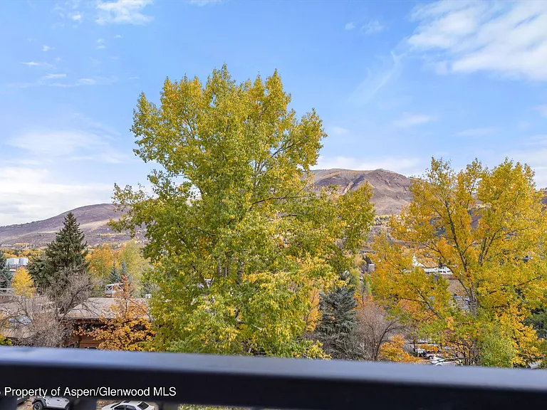 800 S Mill St #303C — Photo 19