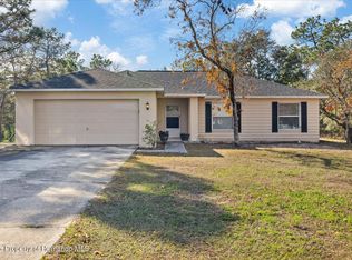 12575 Maleo Rd, Weeki Wachee, FL 34614