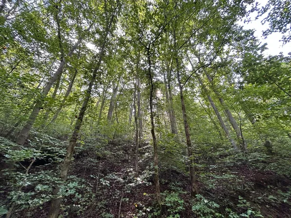 9999 Creek Mart Rd, Flat Lick, KY 40935